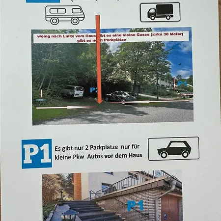 Traubeneiche Remagen