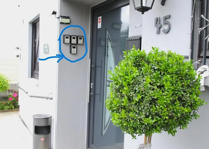 Traubeneiche * Remagen