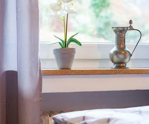 Traubeneiche Apartament *